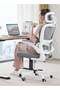 Premium Ergonomic Office Chair, High Back Mesh Chair with Flip-Up Armrest, Recline & Lumbar Support