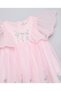 Embroidered Fit & Flare Dress with Crew Neck and Flared Sleeves - 3