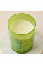 شمعة معطرة برائحة بتلات الفستق - 226 غرام - 3