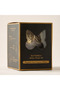 Butterfly Embellished Unscented Wall Plugin Diffuser - 6