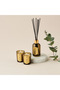 Mahogany Silk Reed and Jar Candle Gift Set - 4