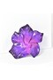 Handmade Iris brooch - 3