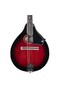 KMA-002-RDS Mandolin - 3