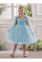 Girls Bow Sleeveless Cape Detail Mesh Dress - 6