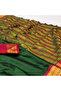 Green Cotton Saree - FFT4734 | Green - 2