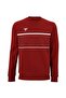 Team Cardinal Color Men's Sweater