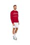 Team Cardinal Color Men's Sweater - 3