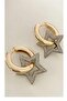 Steel Gold Earrings