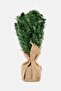 LED Christmas Mini Fir Tree, Green