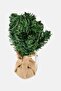 LED Christmas Mini Fir Tree, Green - 2