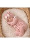 Seasonal 100% Cotton 5-Piece Bowknot Scalloped Newborn Baby Girl Hospital Discharge Bodysuit Set Boxed - 6