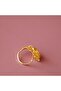 Steel Ring Dolphin - 5