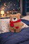 The Best Gift for Your Loved One 35 cm Cute Teddy Bear Pillow with Heart - 3