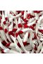 12cm 7cm 9cm 12cm 10 Pcs / Bag T-tail Soft Bait Red Head White Bionic Bait Fishing Supplies - 2