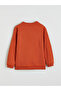 Lcw Kids Brown Crew Neck Boys' Thick Sweatshirt W5Nu08Z4 - 4