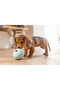Puppy Toy, Treat and Play, Egg, Rubber, Turquoise, 6X6X8Cm - 3