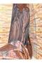 High-end evening fabric - 4