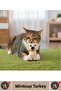 Durable Pet Cat Small Breed Dog Fun Engaging Sound Dog Design Toy - 2