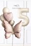 Retro Pink Butterfly Birthday Balloon Chain Set with Age Balloons