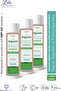 Dermatological Juniper Tar Herbal Tea Tree Hair and Body Shampoo (3 Pack)