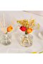 Cocodor English Pearfree Tulip Reed Diffuser Oil 200Ml With Tulip Sticks - 2