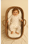 Baby Girl Set Long Sleeve Cotton with Ruffled Collar 0-6 Months - 2