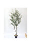 Artificial Olive Tree 155cm - Fake Plant with Moss & Pot - 9