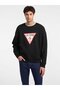 Men's Sweatshirt