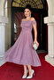 Glitter Tulle Fabric Midi Dress - Dried Rose - 2
