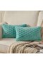 2-Pack Plush Honeycomb Rabbit Throw Pillow Cover 35*50 Water Green Color Soft Velvet Cushion Double-Sided