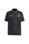 Jw5462 Lfc Lf Jsy Gray Regular Men's Jersey - 6