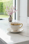 Florena Gold Gilded Embossed Porcelain Turkish Coffee Cup Set of 6 90 Cc-Pink/Green - 5