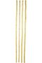 Natural Bamboo Pole / Stake - 2