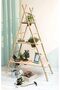 Natural Bamboo Pole / Stake - 3