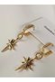 Steel Earrings with Gold Stone Tail Star Model Stainless Swinging Model - 4