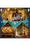Ramadan Decorations for Home, 138 LED Colorful Ramadan Lights, Moon Star Lights Hanging for - 8