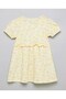 Printed A-Line Dress with Crew Neck and Puff Sleeves - 2