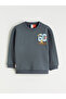 Gray Paw Patrol Printed Boys' Thick Sweatshirt