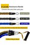 RIGID FITNESS Resistance Bands Set - Workout Bands with Handles, Door Anchors, Legs & Ankle Straps - 3