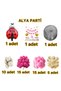 Party Birthday Set with Plenty of Balloons, Ladybug Foil Balloons - 2