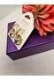 Colorful Zircon Stone Interlocking Hoop Steel Earrings - 3