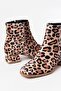 Zri̇n-500 Premium Leopard Heeled Zippered Daily Women's Boots - 4