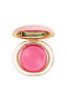 Future Touchmelt Cream Blush