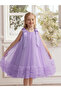 Girls Bow Tie Ruffle Hem Mesh Party Dress - 6