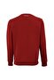 Team Cardinal Color Men's Sweater - 2