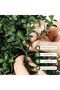 90cm Artificial Boxwood Topiary Trees, Set of 2, with Black Planter, Indoor Outdoor Decorative Trees - 4