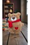 The Best Gift for Your Loved One 35 cm Cute Teddy Bear Pillow with Heart - 4