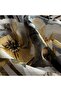 Striped Floral Pattern Sparkling Crystal Scarf - 3