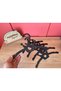 Wooden Heart Themed Mdf Children's and Baby Hanger, Hanger Baby Hanger (7 Pieces) - 3