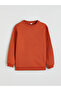 Lcw Kids Brown Crew Neck Boys' Thick Sweatshirt W5Nu08Z4